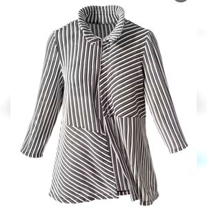 Chicos Easy Wear Jacket  overlay Directional Blocks adjustable Collar Size 14 16